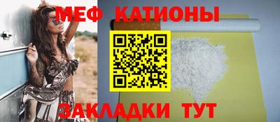 сатива Краснознаменск
