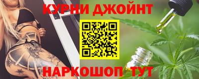 сатива Краснознаменск