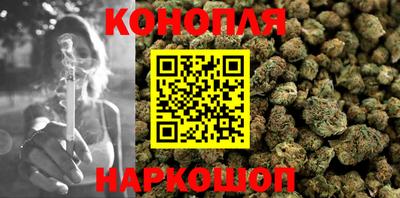сатива Краснознаменск