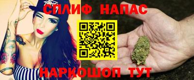 сатива Краснознаменск