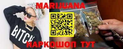сатива Краснознаменск