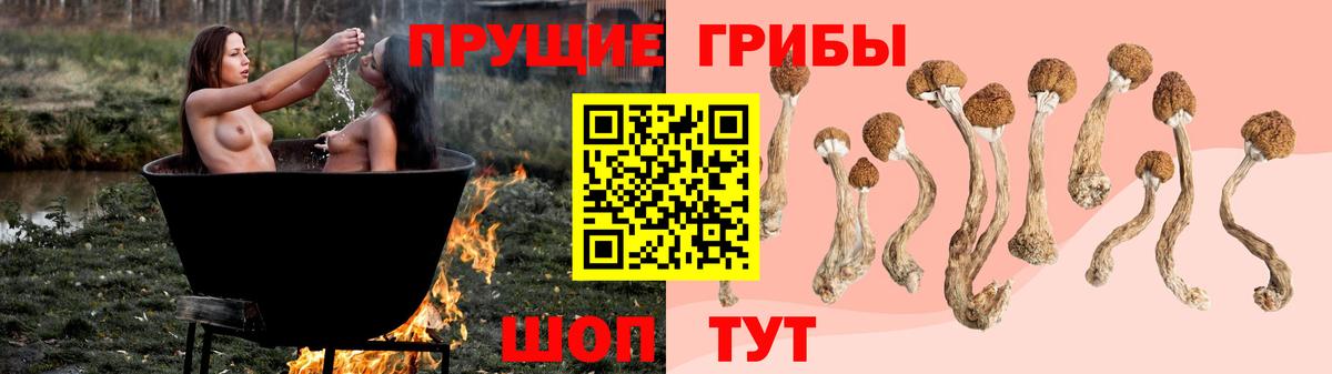 хочу наркоту  Вход с VPN  Котельники  Галлюциногенные грибы мухоморы 